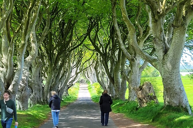 4 Hours Private Belfast City Tours - Cruise Passengers and First-Time Belfast Visitors