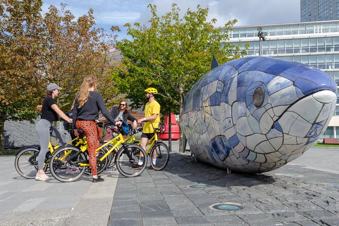 Belfast Bike Tours - Murals, Peace Wall writing, and Shankill Road in plain language