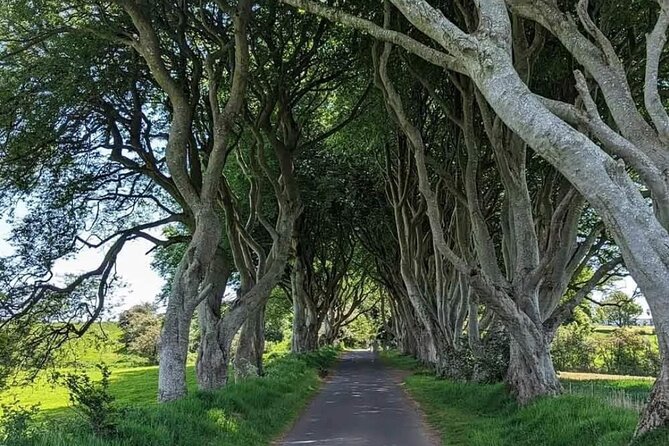 Belfast & Giants Causeway Luxury Mercedes Private Tour for 6 pax - Key things to know before you go