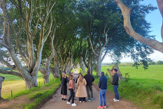 Belfast & Giants Causeway Luxury Mercedes Private Tour for 6 pax - The Dark Hedges: the photo stop with atmosphere