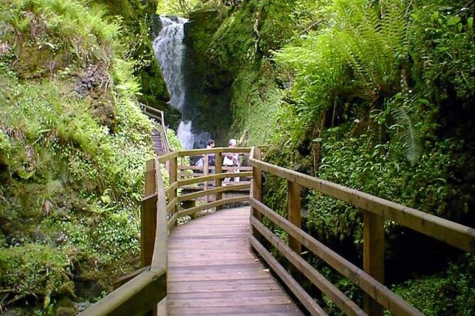 Experience the Antrim Coast and the Land of Giants - Private Tour - Stop 2: Giant’s Causeway Walk, Clifftop Views, and Optional Visitor Center