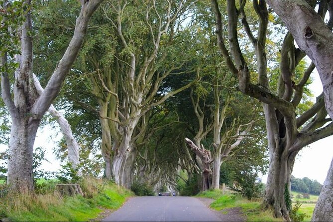 Experience the Antrim Coast and the Land of Giants - Private Tour - Stop 5: Bushmills Distillery for Tour, Tasting, and Shopping