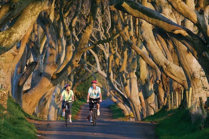 From Belfast-Giants Causeway, Dunluce Castle and Dark Hedges tour - What the drive time is really like on an efficient half-day