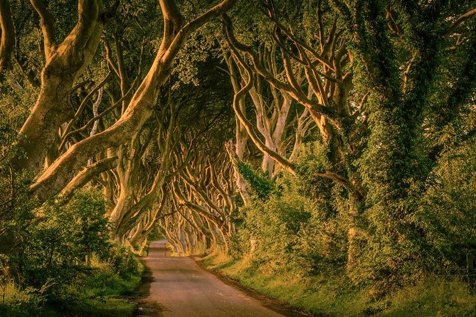 From Belfast-Giants Causeway, Dunluce Castle and Dark Hedges tour - Price and value: is $69.45 worth it for you?