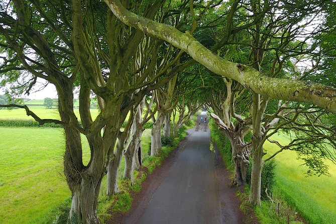 Full-Day Private Giant's Causeway Experience - The Glen of Antrim Drive: Views Plus Real Context