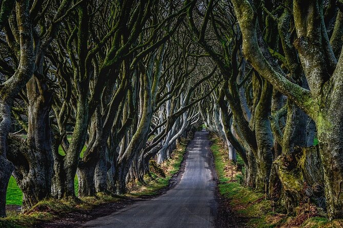 Full-Day Private Tour of Giants Causeway with Pick Up - Dunluce Castle: Greyjoy vibes, plus a reality check on closing times