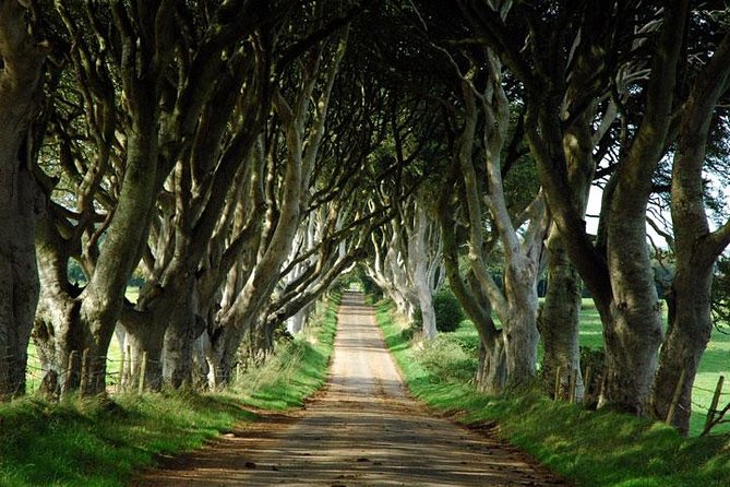 Game of Thrones and Giant's Causeway Day Tour from Belfast - A Belfast day that mixes Westeros with real Northern Ireland