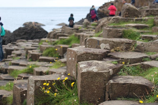 Game of Thrones and Giant's Causeway Day Tour from Belfast - Dunluce Castle: a quick Greyjoy photo hit