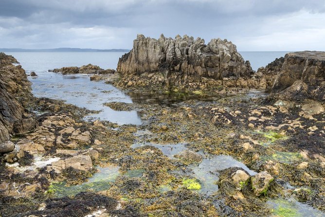Game of Thrones and Giant's Causeway Full-Day Tour from Belfast - Getting to the tour at Donegall, then settling in