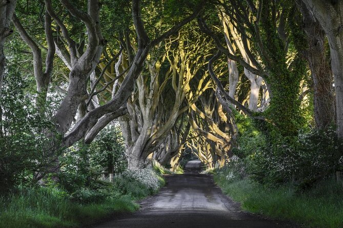 Game of Thrones - Private Audi A6 tour with Richard the Wildling - Key highlights that make this tour worth your time