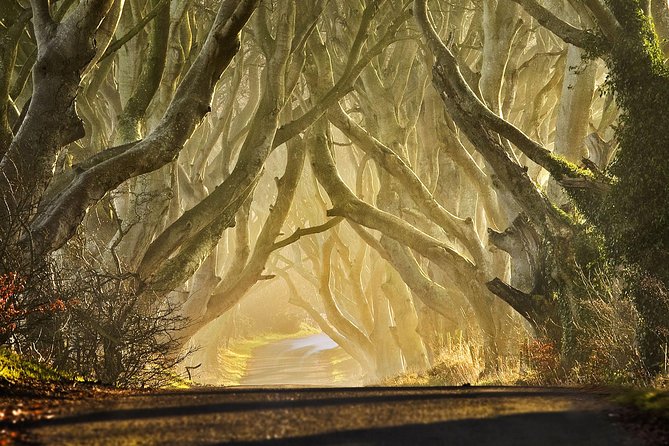 Game of Thrones - Private Audi A6 tour with Richard the Wildling - Costumes and replica swords: turning a location stop into a moment