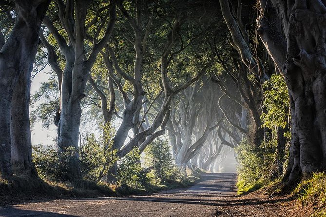 Giant's Causeway and more including Titanic Experience Ticket Tour from Belfast - Dunluce Castle Ruins and North Atlantic Coast Photo Stops