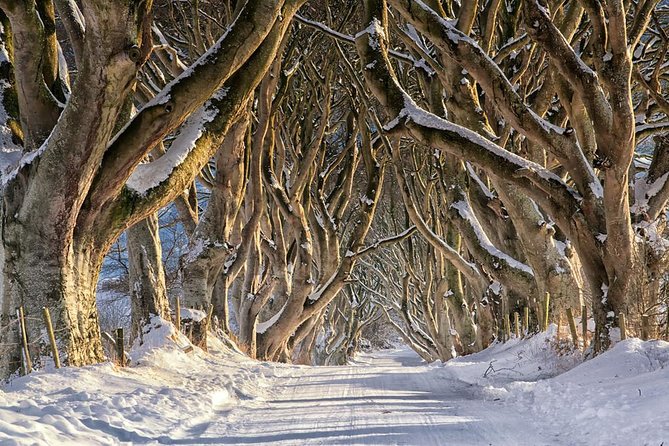 Giant's Causeway and more including Titanic Experience Ticket Tour from Belfast - Getting There and Keeping Your Day Comfortable