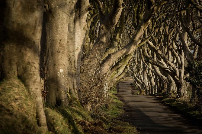 Giant's Causeway and more including Titanic Experience Ticket Tour from Belfast - Titanic Belfast: 9 Galleries, Special Effects, and the Undersea Twist