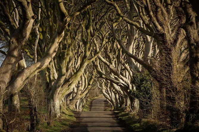 Giant's Causeway and Whisky Distillery tasting tour from Belfast - The meeting point at 31 Chichester St, Belfast, and how the day flows