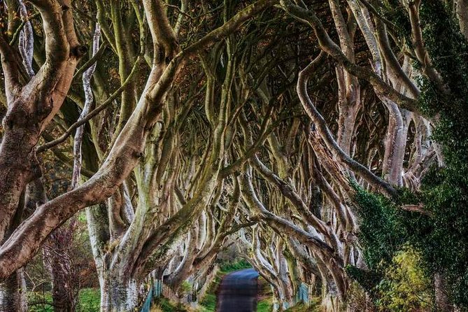 Giant's Causeway Full Day Tour from Belfast - Giant’s Causeway: UNESCO drama, plus the visitor centre decision you can control