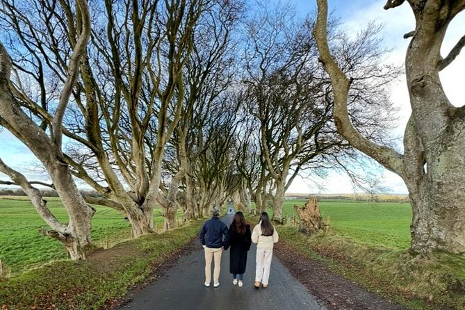 Giant’s Causeway, Luxury Private Tour from Belfast, 1-7 people - Causeway Coast in one well-paced private day