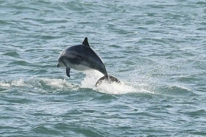 Giant's Causeway Private Tour from Belfast in Luxury Mercedes - The Dark Hedges and Ballintoy Harbour: your photo stops with context