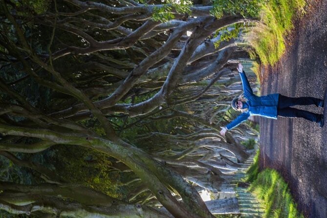 Giants Causeway & Antrim Coast Private Tour - Carrick-a-Rede viewpoint, plus the rope bridge option