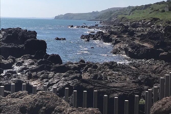 Giants Causeway ~ one stop tour - The Giant’s Causeway stop: quick access, not slow strolling