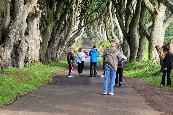 Giants causeway private tour 1 to 7 people - Ballintoy Harbour: A Fast 15 Minutes With Real Coastal Drama