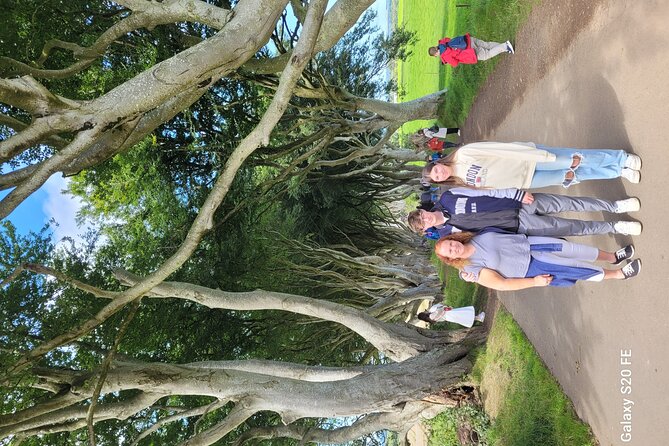 Giants causeway private tour 1 to 7 people - Dunluce Castle Ruins in 15 Minutes: What You Can Catch Without Rushing