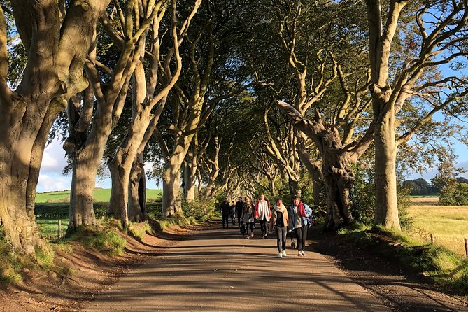 Giants Causeway, Rope Bridge, Carrickfergus Castle and Dark Hedges Tour - Dunluce Castle, a quick cliffside hit