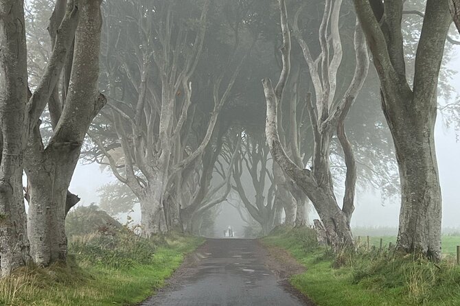 Giants Causeway Tour from Belfast in luxury 7 seater - Dunluce Castle ruins: cliff-side drama in one hour
