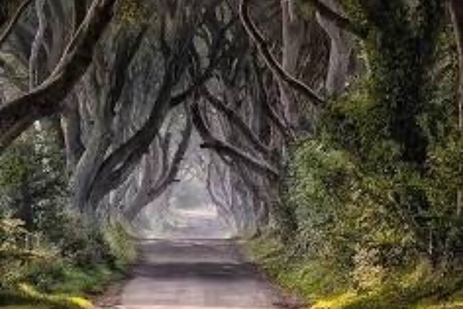 Giants Causeway Tour From Belfast including Game of thrones sites - Why This Belfast to Giant’s Causeway Day Trip Works (Game of Thrones plus real stops)