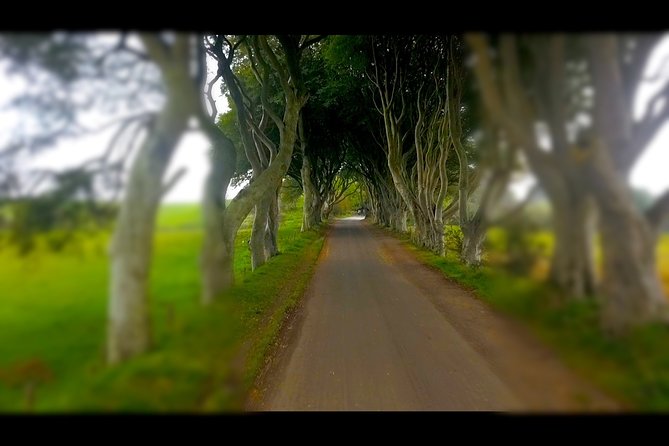 Guided Day Tour of Giant's Causeway from Belfast by Comfortable Coach - Coach comfort and the “less waiting” effect