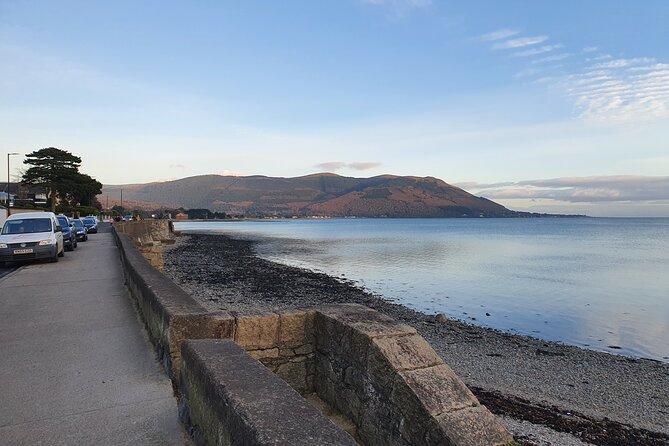 Ireland North Coast MEGA Trip for up to 8 Passengers - Bushmills Distillery, a Breather From the Road