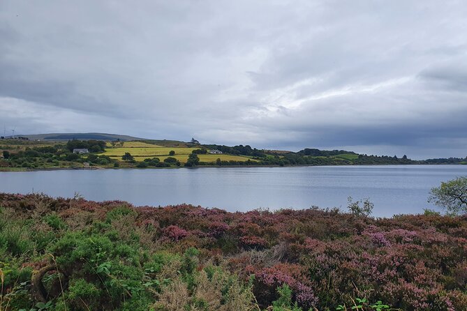 Ireland North Coast MEGA Trip for up to 8 Passengers - Weather Matters, and How This Tour Handles It
