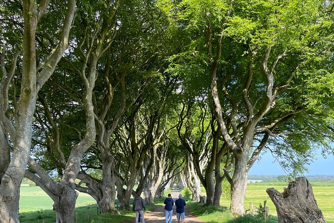 Luxury Tour of Giants Causeway from Belfast - Dunluce Castle ruins: cliff-top drama, plus the one catch