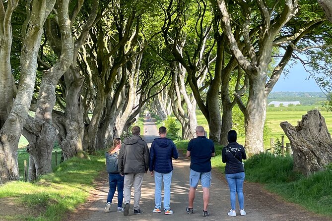 Luxury Tour of Giants Causeway from Belfast - Dark Hedges: quick stop, big movie-star energy