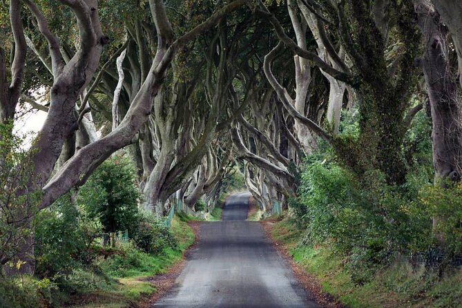 Private Giant's Causeway Tour including Game of Thrones Sites - Old Bushmills Distillery: plan the extra fee, enjoy the break
