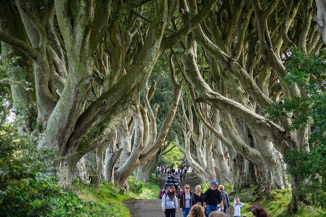 Private Giants Causeway Tour From Belfast - Why this feels better than a bus day from Belfast