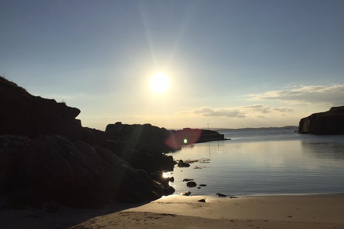 Shore Excursion Giants Causeway Private Tour - Key things I’d zero in on