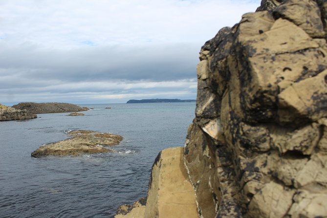 Small Group Giant's Causeway Day Tour from Belfast - Carrick-a-Rede Rope Bridge: The Ticket Cost and the Main Event